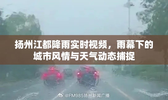 扬州江都降雨实时视频，雨幕下的城市风情与天气动态捕捉
