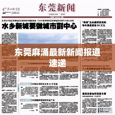 东莞麻涌最新新闻报道速递