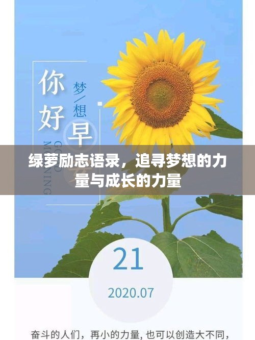 绿萝励志语录，追寻梦想的力量与成长的力量