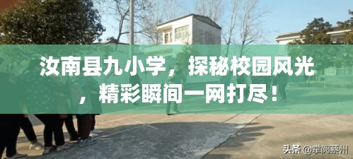 汝南县九小学，探秘校园风光，精彩瞬间一网打尽！
