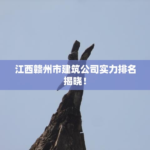 继晷焚膏 第2页