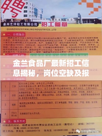 金兰食品厂最新招工信息揭秘，岗位空缺及报名指南