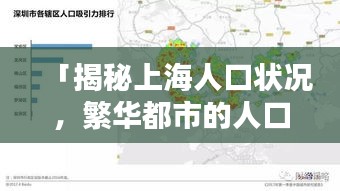 「揭秘上海人口状况，繁华都市的人口数据一网打尽」