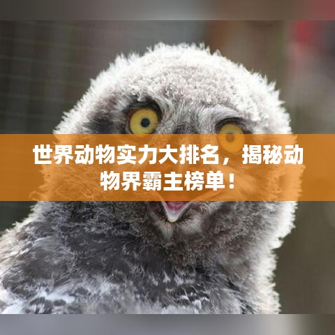 无拘无束 第2页