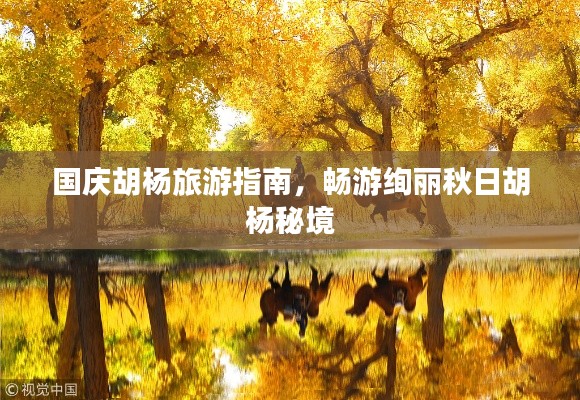 国庆胡杨旅游指南，畅游绚丽秋日胡杨秘境
