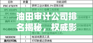 油田审计公司排名揭秘，权威影响力分析助你洞悉行业格局！
