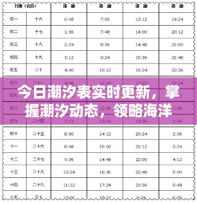今日潮汐表实时更新，掌握潮汐动态，领略海洋风情