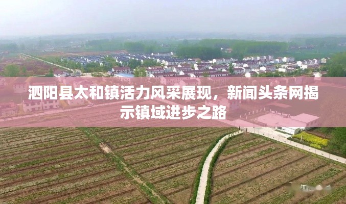 泗阳县太和镇活力风采展现，新闻头条网揭示镇域进步之路