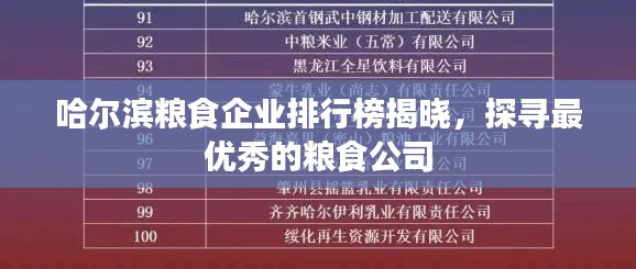 哈尔滨粮食企业排行榜揭晓，探寻最优秀的粮食公司