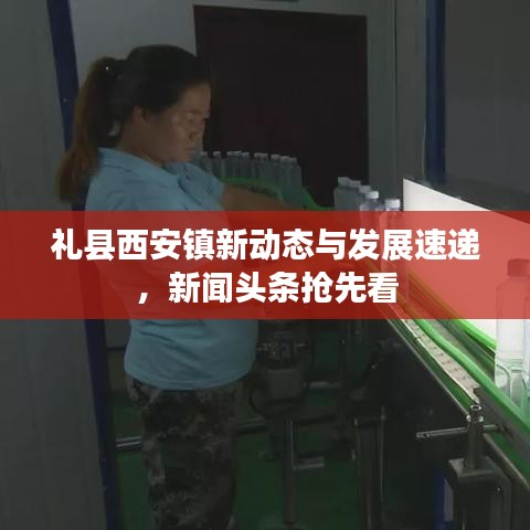 礼县西安镇新动态与发展速递，新闻头条抢先看
