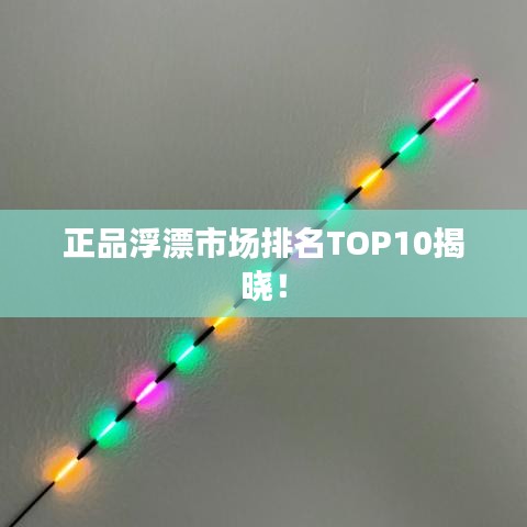 正品浮漂市场排名TOP10揭晓！