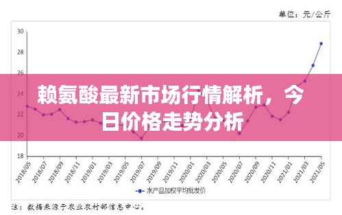 赖氨酸最新市场行情解析，今日价格走势分析