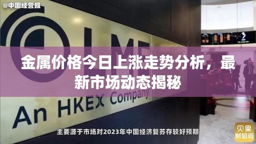 金属价格今日上涨走势分析，最新市场动态揭秘