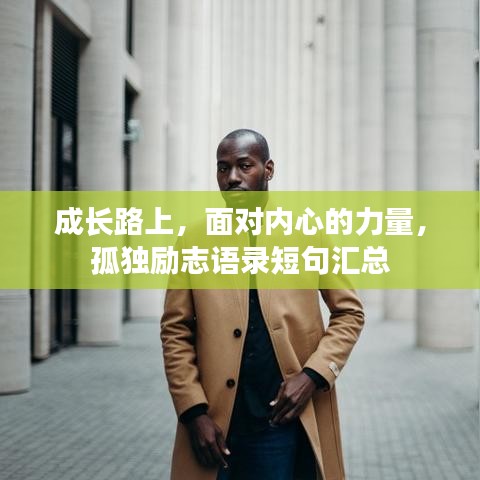 成长路上，面对内心的力量，孤独励志语录短句汇总