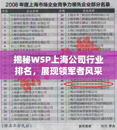 揭秘WSP上海公司行业排名，展现领军者风采