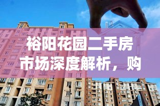 裕阳花园二手房市场深度解析，购房指南与探索