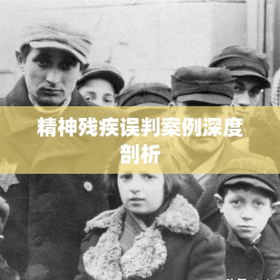 精神残疾误判案例深度剖析
