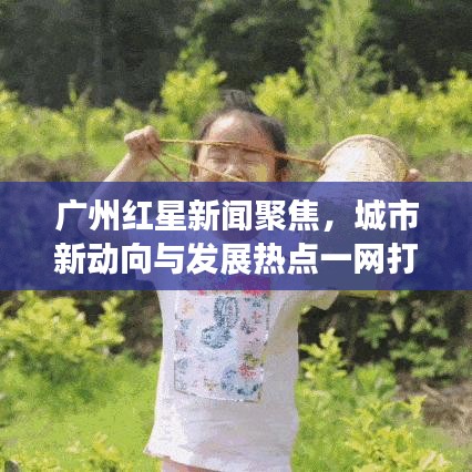 广州红星新闻聚焦，城市新动向与发展热点一网打尽