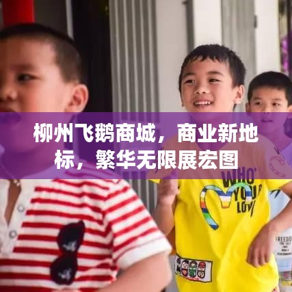 料事如神 第2页