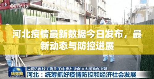 河北疫情最新数据今日发布，最新动态与防控进展