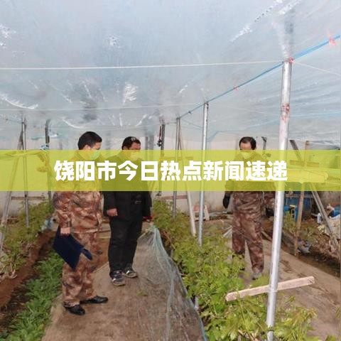 饶阳市今日热点新闻速递