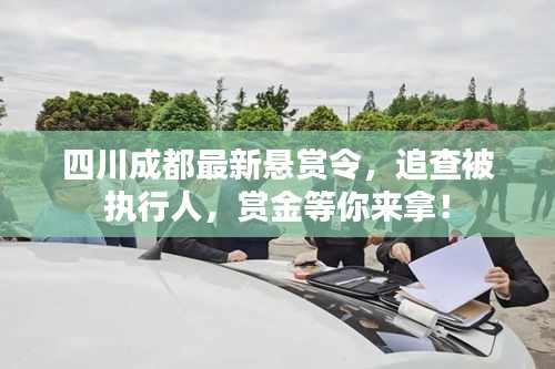 四川成都最新悬赏令，追查被执行人，赏金等你来拿！