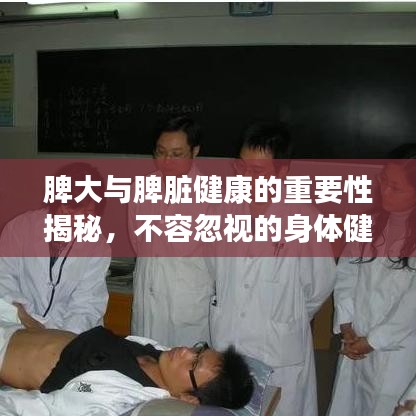 脾大与脾脏健康的重要性揭秘，不容忽视的身体健康信号！