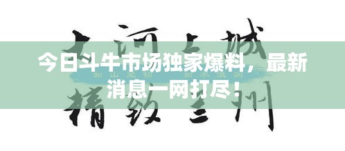 今日斗牛市场独家爆料，最新消息一网打尽！