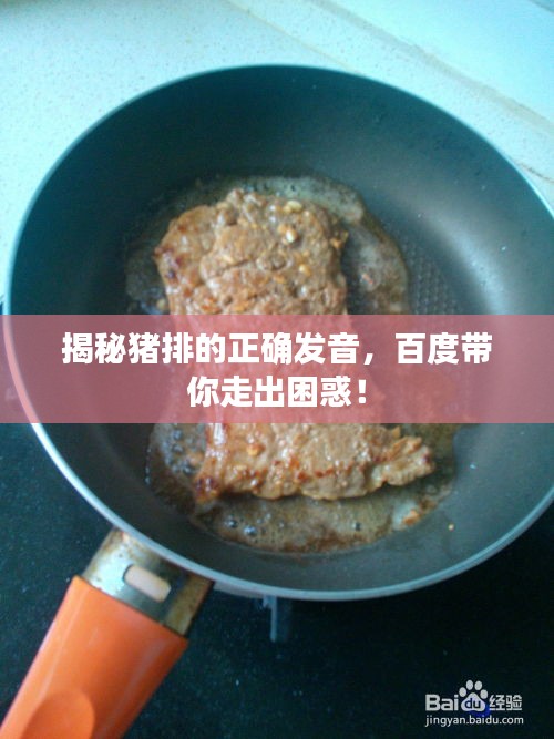 衣无二彩 第2页