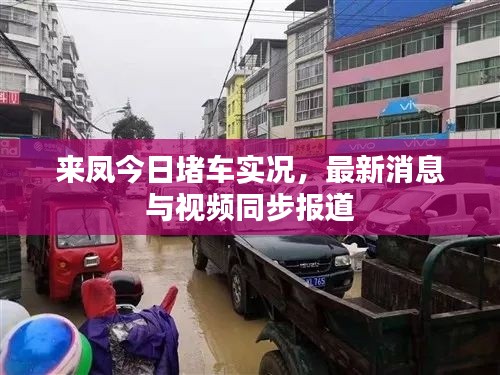 来凤今日堵车实况，最新消息与视频同步报道