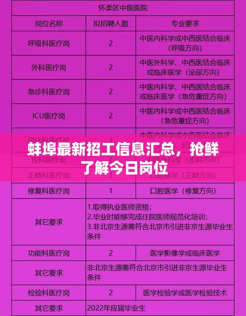 蚌埠最新招工信息汇总，抢鲜了解今日岗位