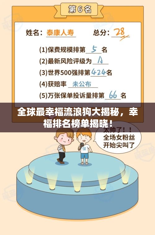 全球最幸福流浪狗大揭秘，幸福排名榜单揭晓！