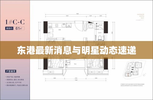 东港最新消息与明星动态速递