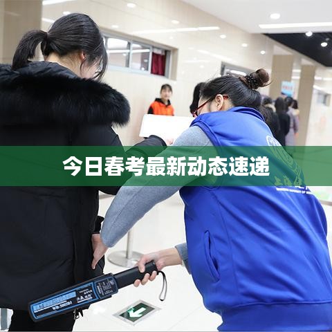 今日春考最新动态速递