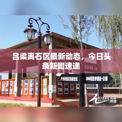 吕梁离石区最新动态，今日头条新闻速递