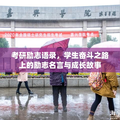 考研励志语录，学生奋斗之路上的励志名言与成长故事