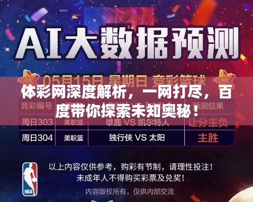 体彩网深度解析，一网打尽，百度带你探索未知奥秘！