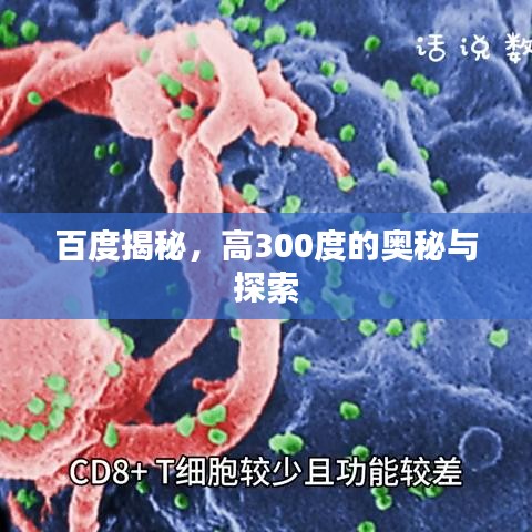 百度揭秘，高300度的奥秘与探索