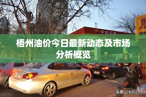 梧州油价今日最新动态及市场分析概览