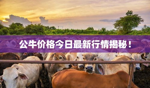 没张倒置 第2页