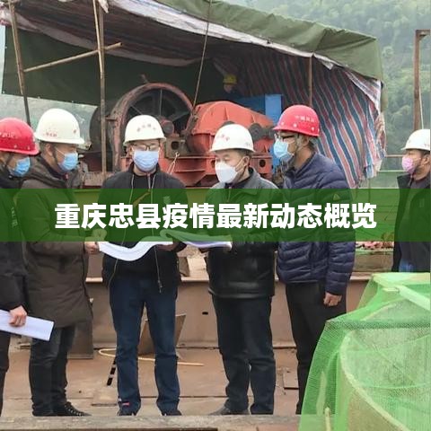 重庆忠县疫情最新动态概览