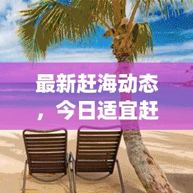 最新赶海动态，今日适宜赶海吗？全面解读来袭