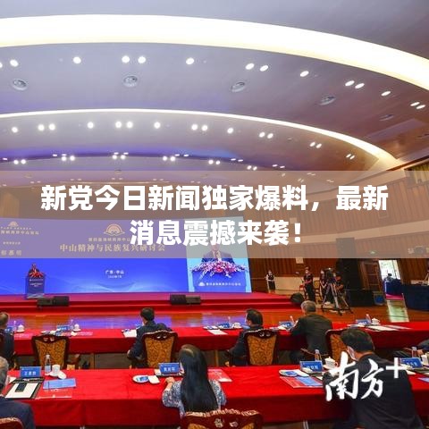 新党今日新闻独家爆料，最新消息震撼来袭！