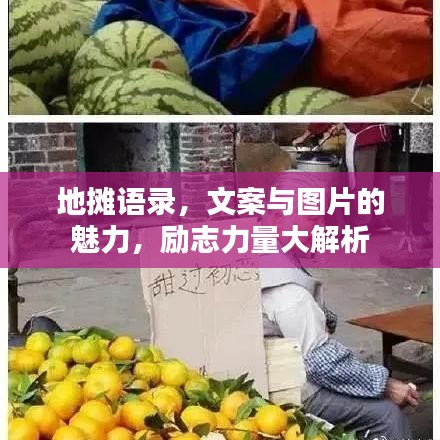 地摊语录，文案与图片的魅力，励志力量大解析