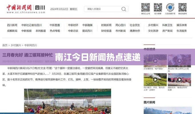 南江今日新闻热点速递