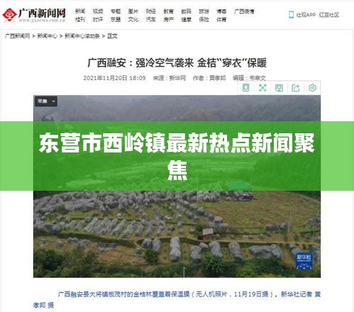 东营市西岭镇最新热点新闻聚焦