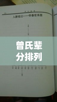 曾氏辈分排列深度探究，揭开家族辈分奥秘