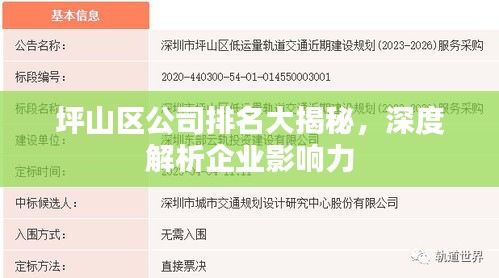 坪山区公司排名大揭秘，深度解析企业影响力