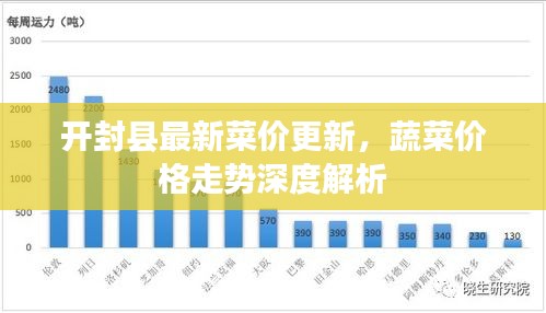 开封县最新菜价更新，蔬菜价格走势深度解析