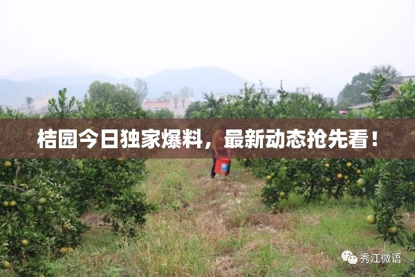 桔园今日独家爆料，最新动态抢先看！